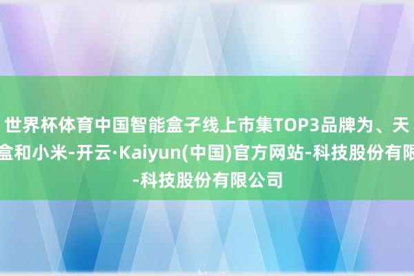 世界杯体育中国智能盒子线上市集TOP3品牌为、天猫魔盒和小米-开云·Kaiyun(中国)官方网站-科技股份有限公司