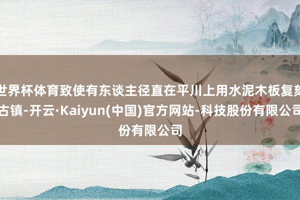 世界杯体育致使有东谈主径直在平川上用水泥木板复刻古镇-开云·Kaiyun(中国)官方网站-科技股份有限公司