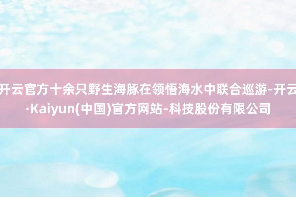 开云官方十余只野生海豚在领悟海水中联合巡游-开云·Kaiyun(中国)官方网站-科技股份有限公司