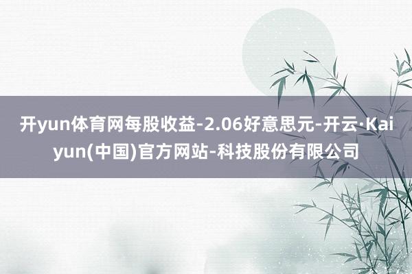开yun体育网每股收益-2.06好意思元-开云·Kaiyun(中国)官方网站-科技股份有限公司