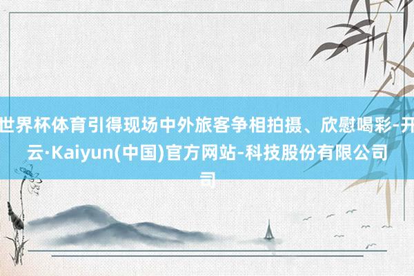 世界杯体育引得现场中外旅客争相拍摄、欣慰喝彩-开云·Kaiyun(中国)官方网站-科技股份有限公司