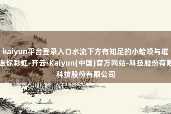 kaiyun平台登录入口水流下方有知足的小蛤蟆与璀璨的迷你彩虹-开云·Kaiyun(中国)官方网站-科技股份有限公司