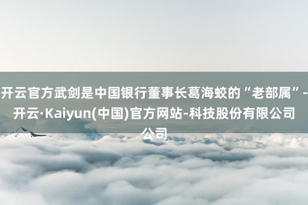 开云官方武剑是中国银行董事长葛海蛟的“老部属”-开云·Kaiyun(中国)官方网站-科技股份有限公司
