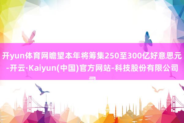 开yun体育网瞻望本年将筹集250至300亿好意思元-开云·Kaiyun(中国)官方网站-科技股份有限公司