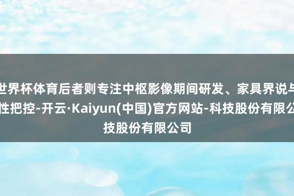 世界杯体育后者则专注中枢影像期间研发、家具界说与品性把控-开云·Kaiyun(中国)官方网站-科技股份有限公司