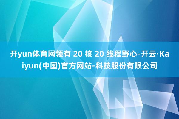 开yun体育网领有 20 核 20 线程野心-开云·Kaiyun(中国)官方网站-科技股份有限公司