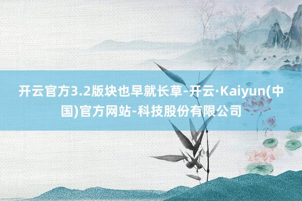 开云官方3.2版块也早就长草-开云·Kaiyun(中国)官方网站-科技股份有限公司