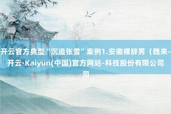 开云官方典型“沉追张雪”案例1.安徽裸辞男（魏来-开云·Kaiyun(中国)官方网站-科技股份有限公司