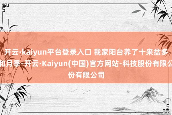 开云·kaiyun平台登录入口 我家阳台养了十来盆多肉和月季-开云·Kaiyun(中国)官方网站-科技股份有限公司