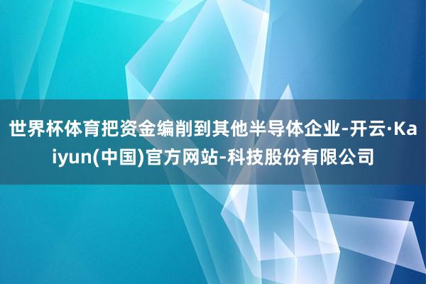 世界杯体育把资金编削到其他半导体企业-开云·Kaiyun(中国)官方网站-科技股份有限公司