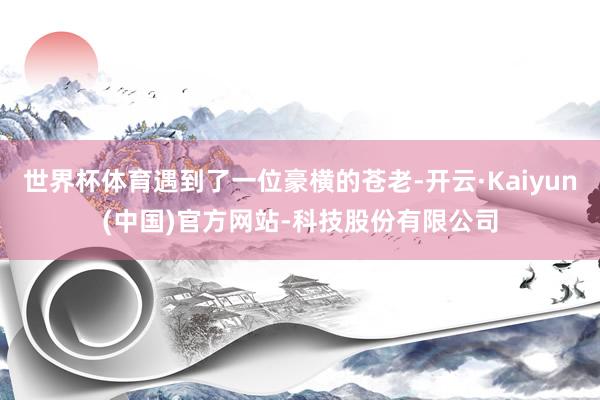 世界杯体育遇到了一位豪横的苍老-开云·Kaiyun(中国)官方网站-科技股份有限公司