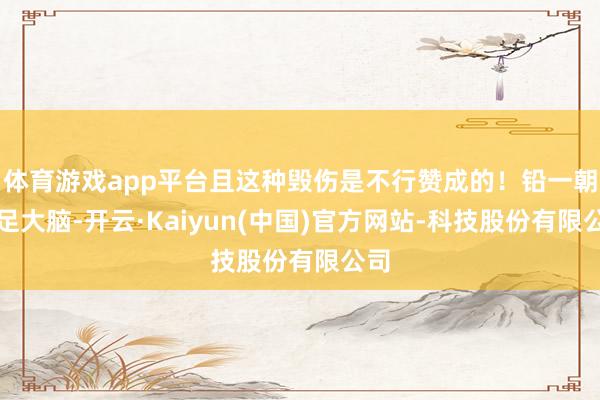 体育游戏app平台且这种毁伤是不行赞成的！铅一朝插足大脑-开云·Kaiyun(中国)官方网站-科技股份有限公司