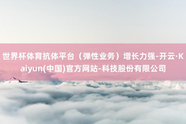 世界杯体育抗体平台（弹性业务）增长力强-开云·Kaiyun(中国)官方网站-科技股份有限公司